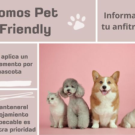 Antolin Yellow Door Ponferrada Zewnętrze zdjęcie